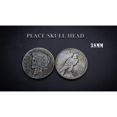 Liberty Head Skull Coin