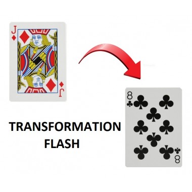 FLASH TRANSFORMATION