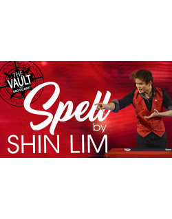 The Vault - Spell by Shin Lim video DOWNLOAD
