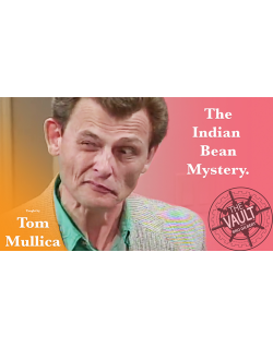The Vault - Indian Bean Mystery by Tom Mullica video DOWNLOAD