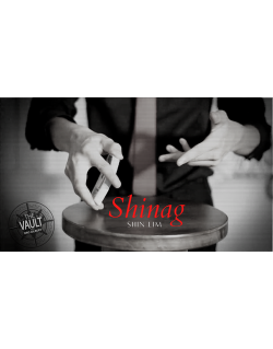 The Vault - Shinag by Shin Lim video DOWNLOAD